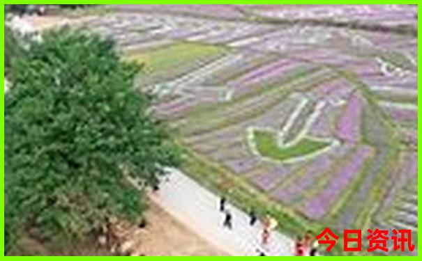 小龙虾最出名三个地方